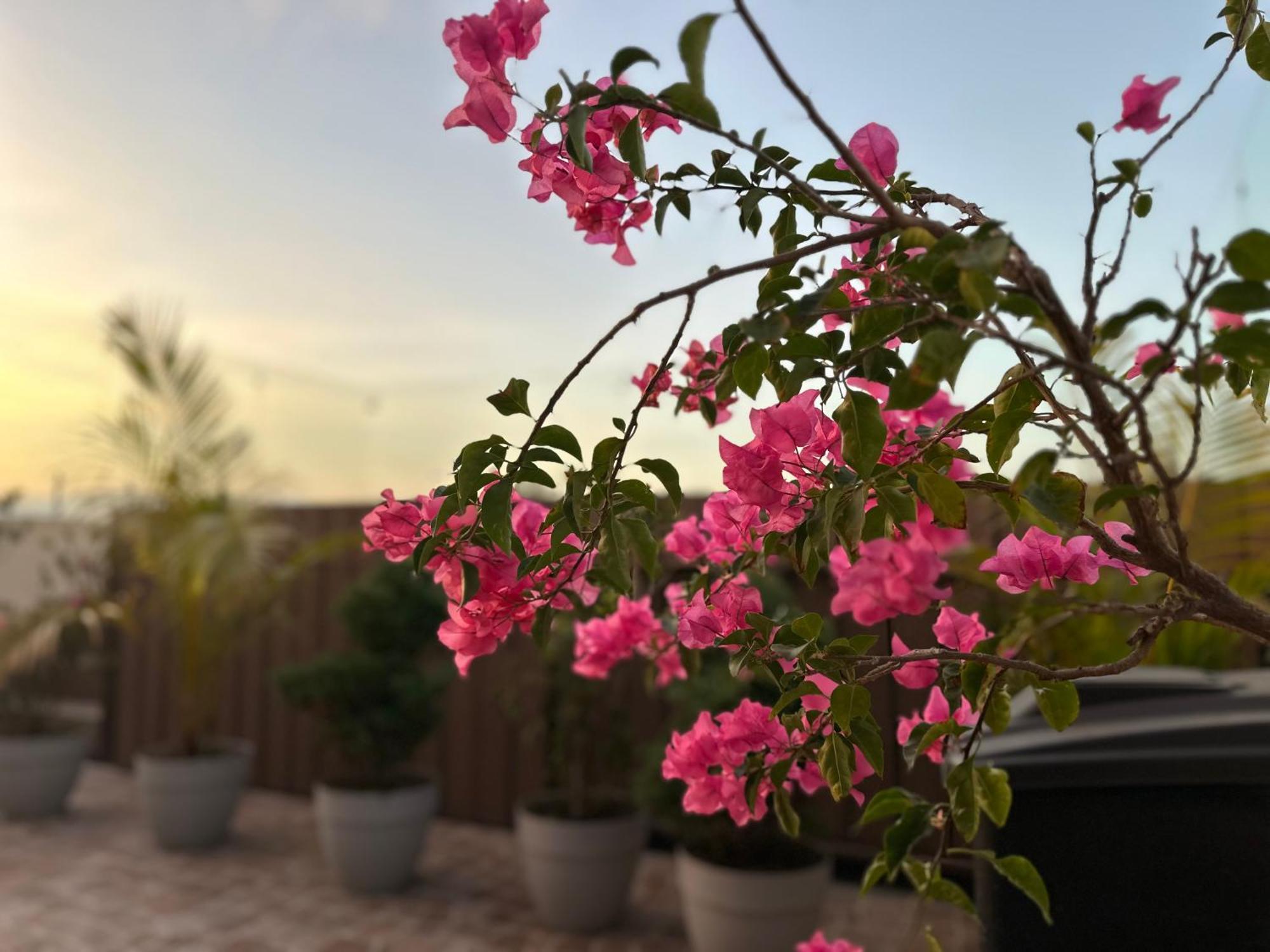 Hotel Sky Garden Gwatemala Zewnętrze zdjęcie