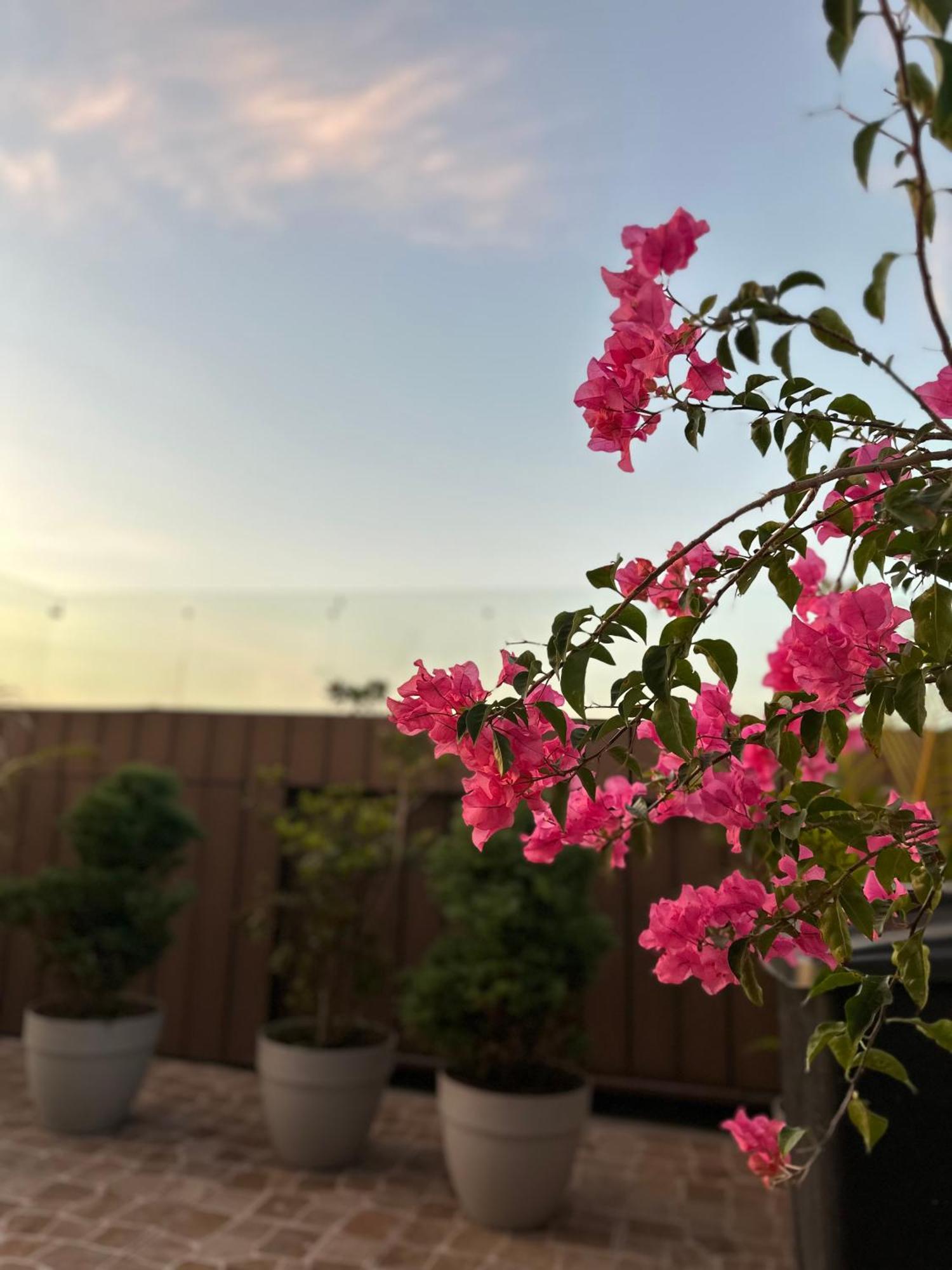 Hotel Sky Garden Gwatemala Zewnętrze zdjęcie